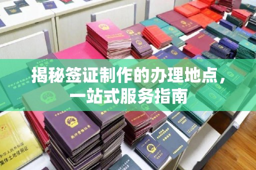 善化揭秘签证制作的办理地点，一站式服务指南