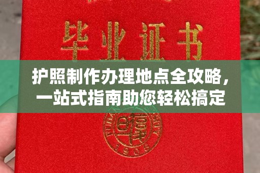 东丽护照制作办理地点全攻略，一站式指南助您轻松搞定